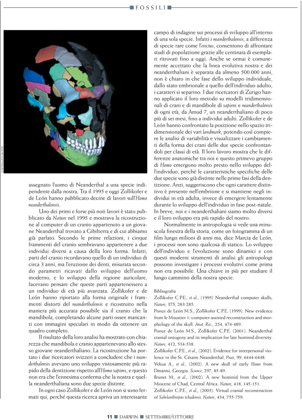 abbiamo già parlato. Secondo le prime relazioni, i cinque frammenti del cranio sembravano appartenere a due individui diversi a causa della loro forma.