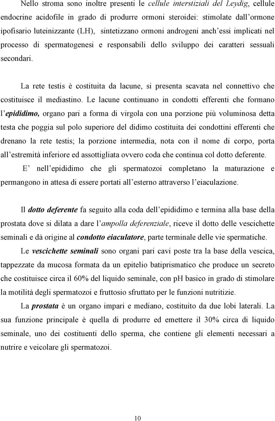 La rete testis è costituita da lacune, si presenta scavata nel connettivo che costituisce il mediastino.