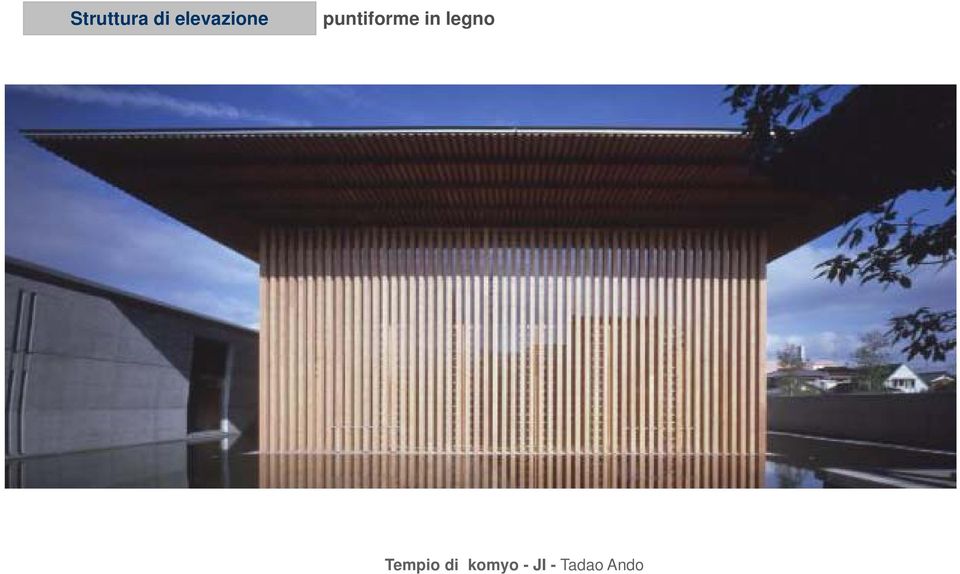 puntiforme in legno