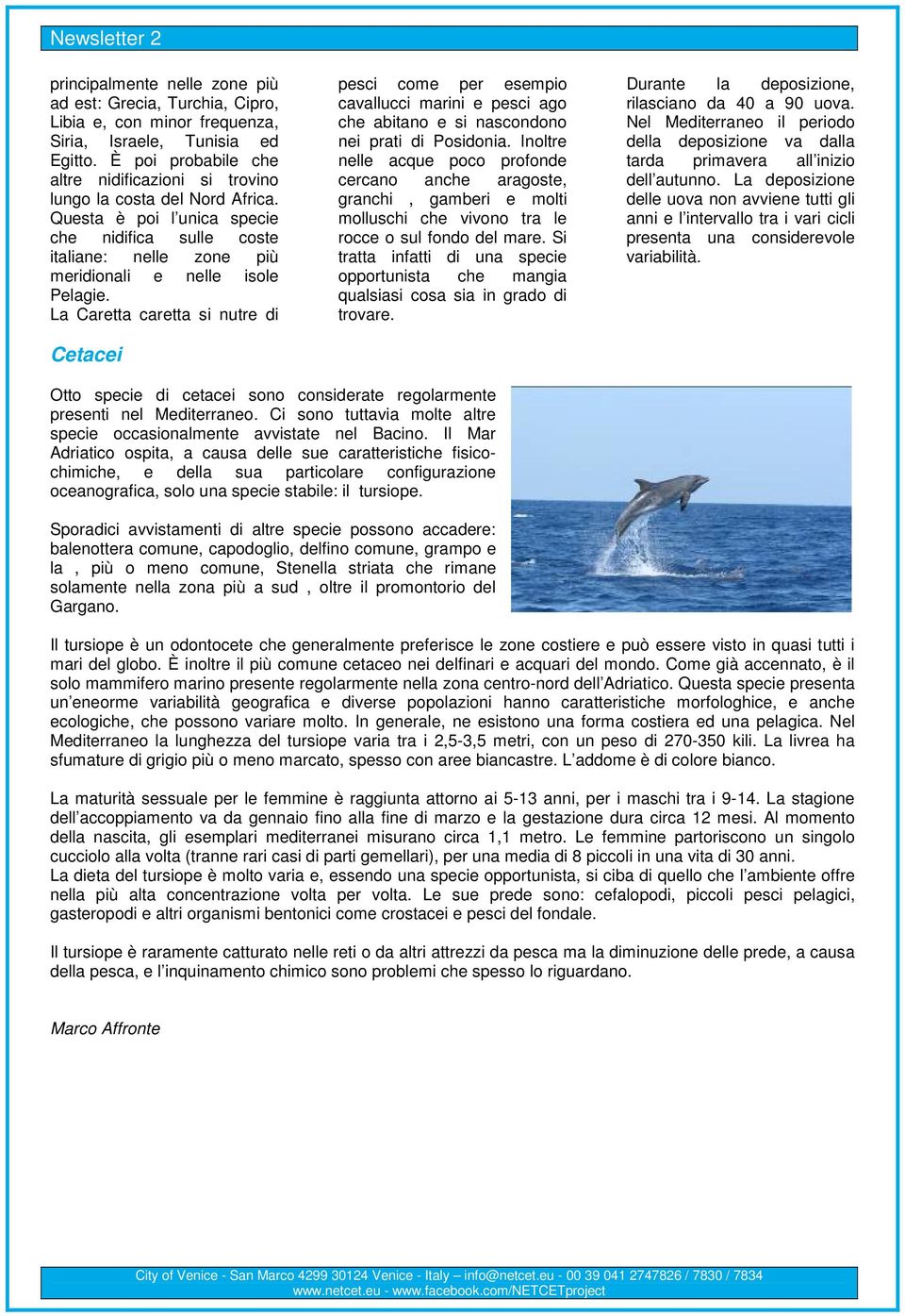 La Caretta caretta si nutre di Cetacei pesci come per esempio cavallucci marini e pesci ago che abitano e si nascondono nei prati di Posidonia.