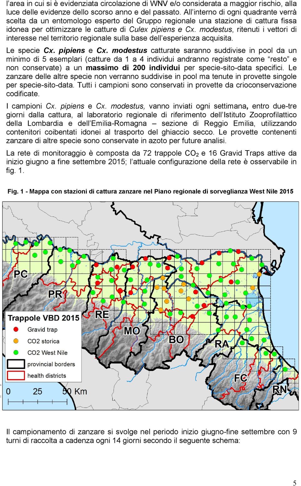 modestus, ritenuti i vettori di interesse nel territorio regionale sulla base dell esperienza acquisita. Le specie Cx. pipiens e Cx.