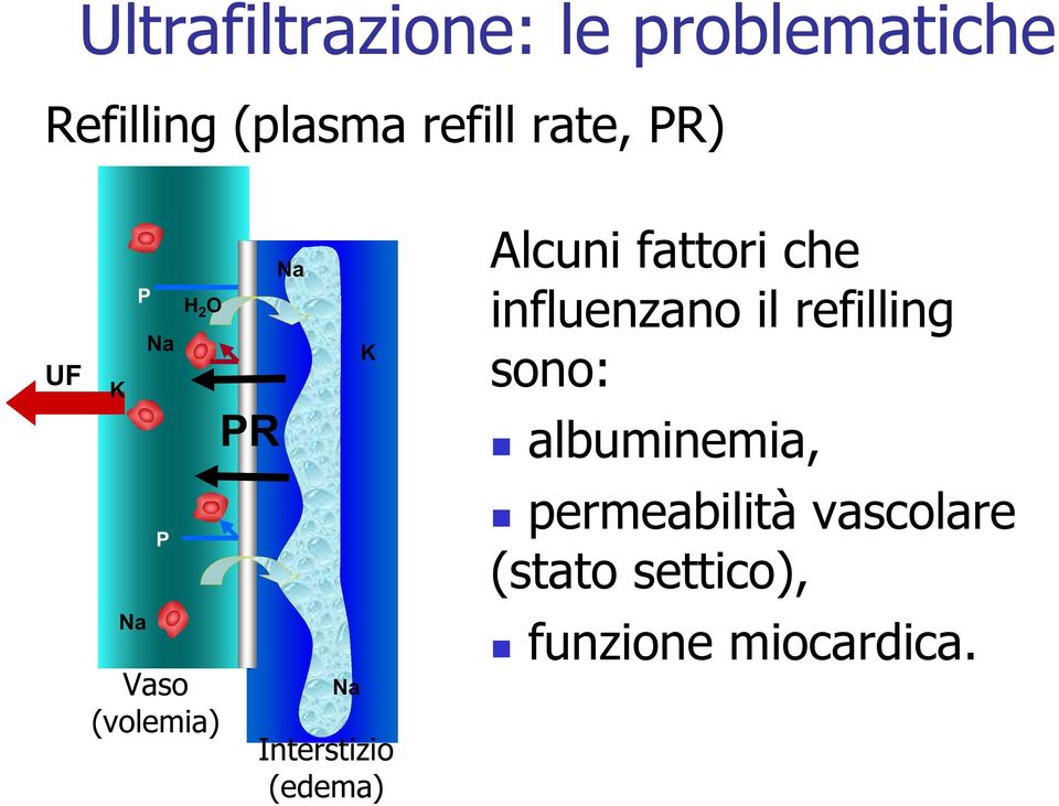 Interstizio (edema) Alcuni fattori che influenzano il refilling