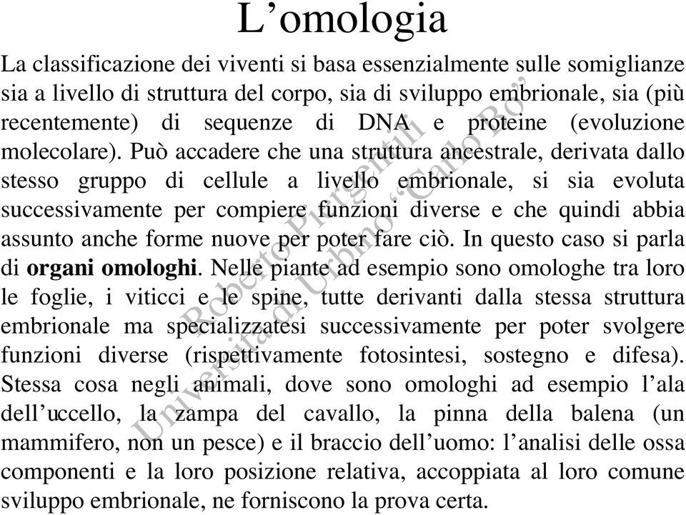 Può accadere che una struttura ancestrale, derivata dallo stesso gruppo di cellule a livello embrionale, si sia evoluta successivamente per compiere funzioni diverse e che quindi abbia assunto anche