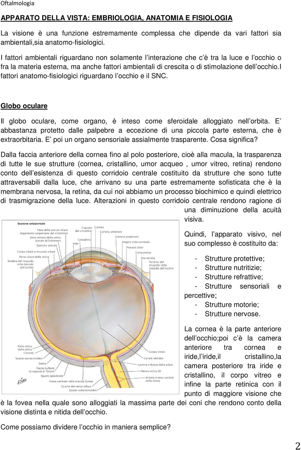 i fattori anatomo-fisiologici riguardano l occhio e il SNC. Globo oculare Il globo oculare, come organo, è inteso come sferoidale alloggiato nell orbita.