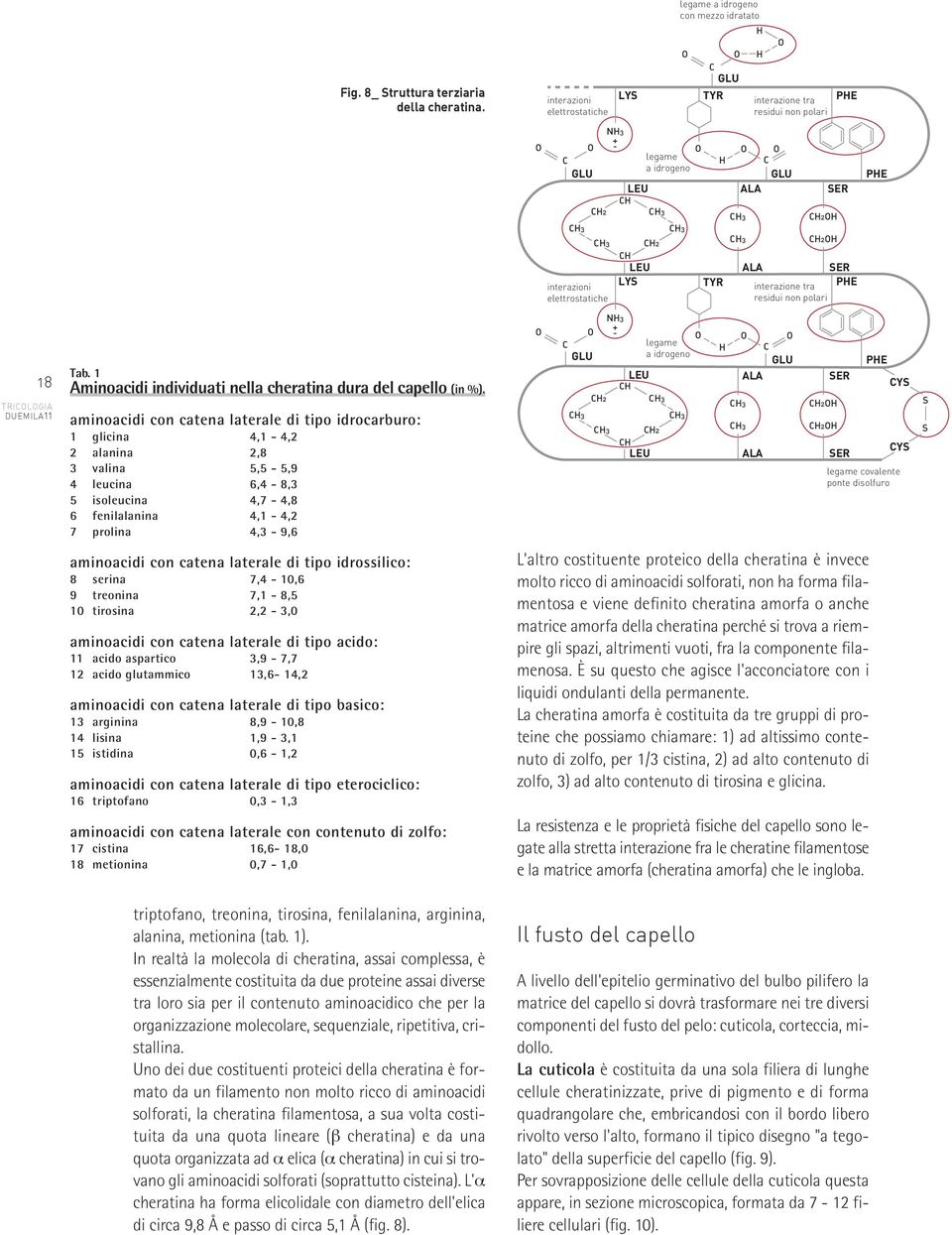 SER ALA SER interazione tra PE residui non polari PE 18 tricologia DUEMila11 Tab. 1 Aminoacidi individuati nella cheratina dura del capello (in %).