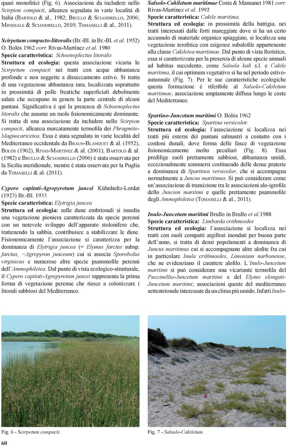 1980 Specie caratteristica: Schoenoplectus litoralis Struttura ed ecologia: questa associazione vicaria lo Scirpetum compacti nei tratti con acque abbastanza profonde e non soggette a disseccamento