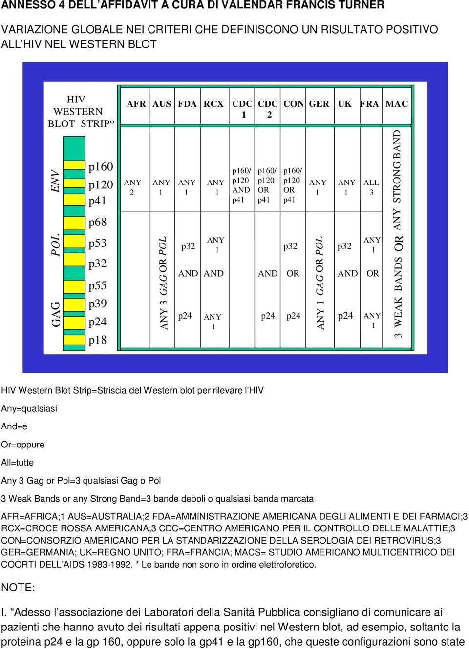 p24 ANY p24 p24 1 ANY 1 ANY 1 GAG OR POL ANY 1 AND p24 FRA ALL 3 ANY 1 OR ANY 1 MAC ANY STRONG BAND OR 3 WEAK BANDS HIV Western Blot Strip=Striscia del Western blot per rilevare l HIV Any=qualsiasi