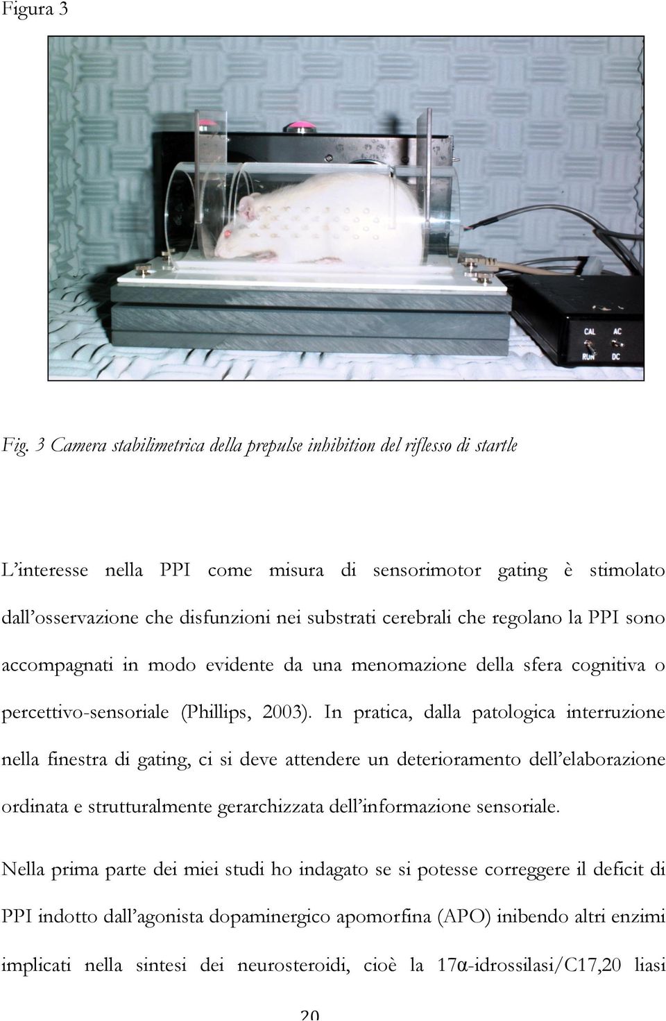 cerebrali che regolano la PPI sono accompagnati in modo evidente da una menomazione della sfera cognitiva o percettivo-sensoriale (Phillips, 2003).