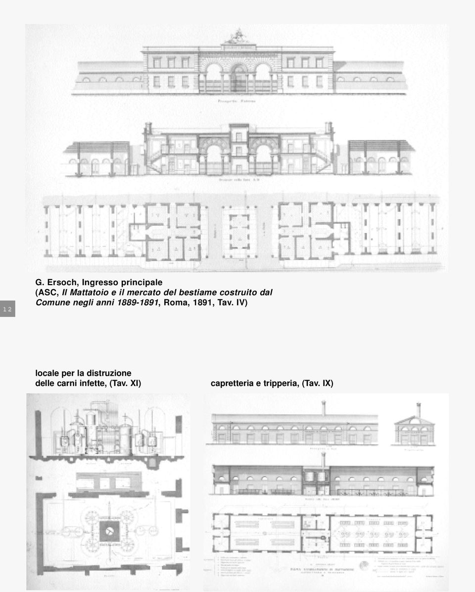 1889-1891, Roma, 1891, Tav.