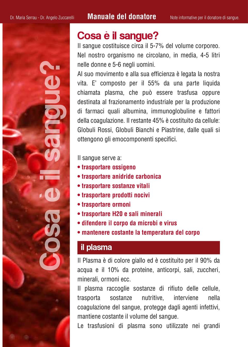 E composto per il 55% da una parte liquida chiamata plasma, che può essere trasfusa oppure destinata al frazionamento industriale per la produzione di farmaci quali albumina, immunoglobuline e