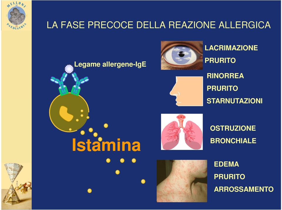 RINORREA PRURITO STARNUTAZIONI OSTRUZIONE