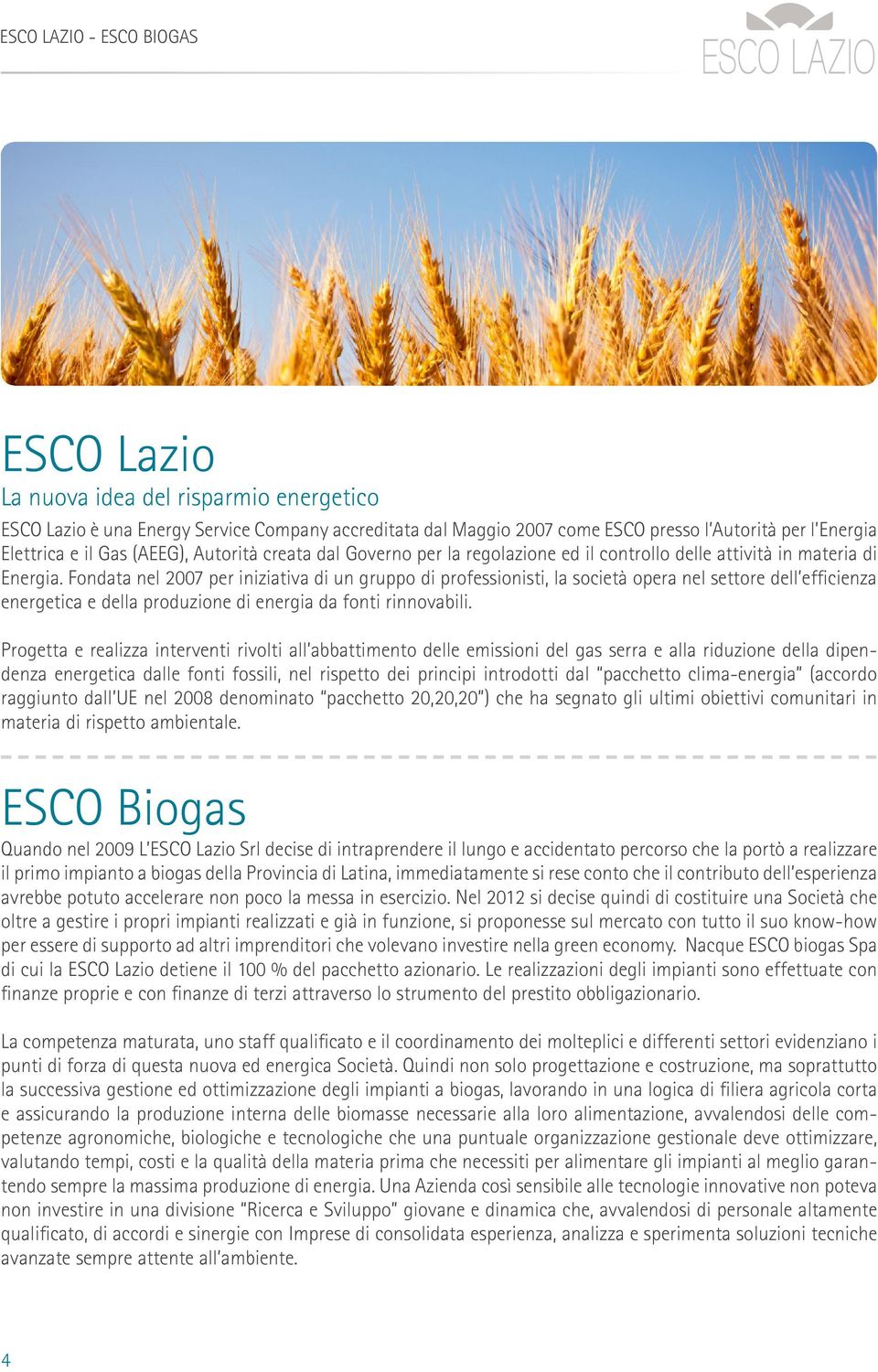 Fondata nel 2007 per iniziativa di un gruppo di professionisti, la società opera nel settore dell efficienza energetica e della produzione di energia da fonti rinnovabili.