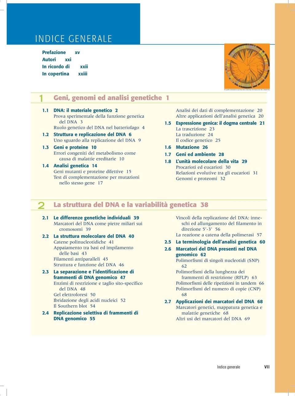 2 Struttura e replicazione del DNA 6 Uno sguardo alla replicazione del DNA 9 1.3 Geni e proteine 10 Errori congeniti del metabolismo come causa di malattie ereditarie 10 1.