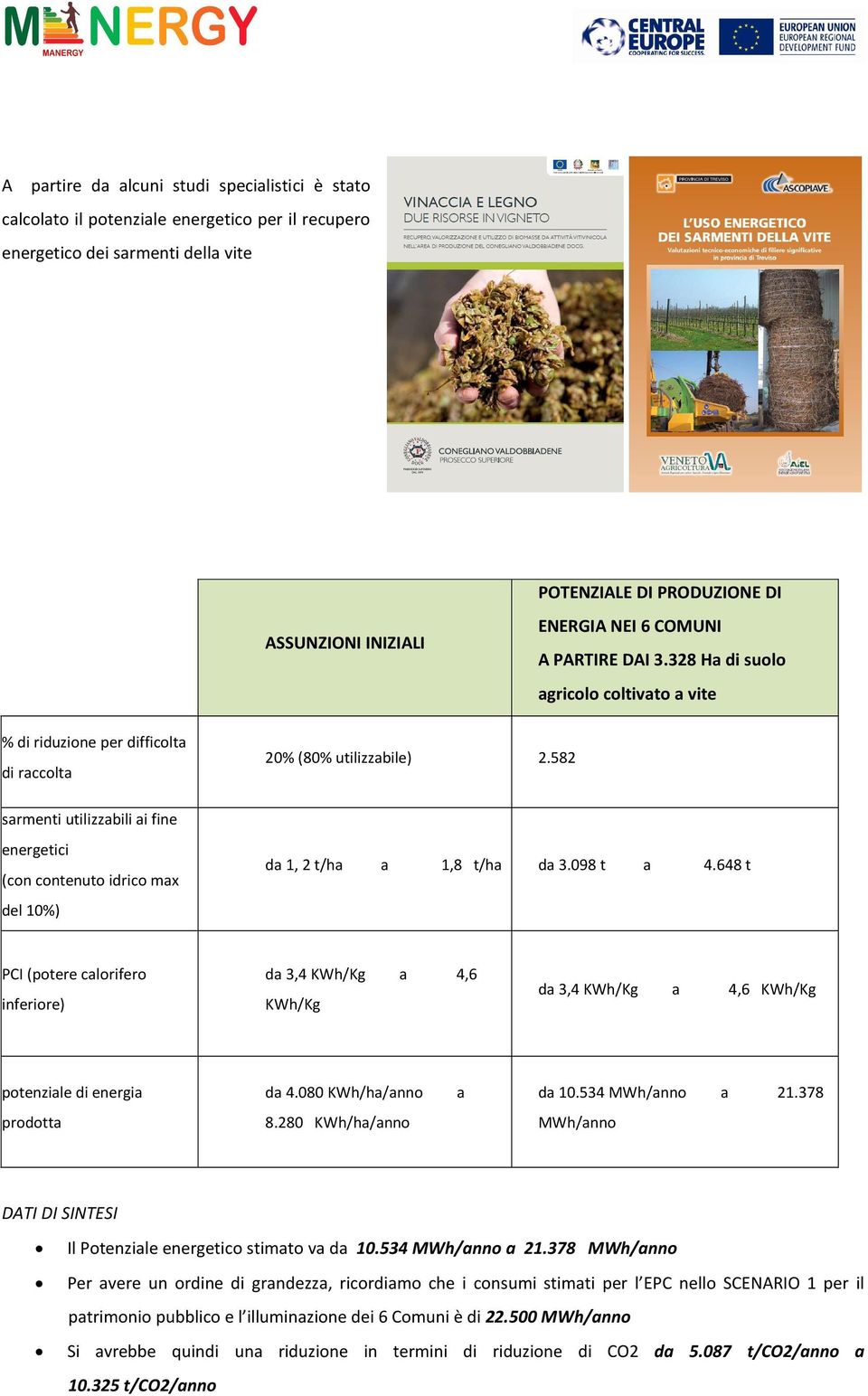 328 Ha di suolo agricolo coltivato a vite % di riduzione per difficolta di raccolta sarmenti utilizzabili ai fine energetici (con contenuto idrico max del 10%) 20% (80% utilizzabile) 2.