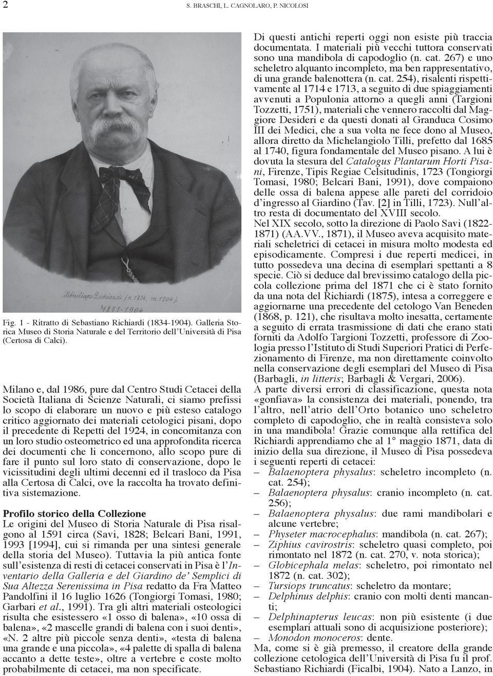 cetologici pisani, dopo il precedente di Repetti del 1924, in concomitanza con un loro studio osteometrico ed una approfondita ricerca dei documenti che li concernono, allo scopo pure di fare il