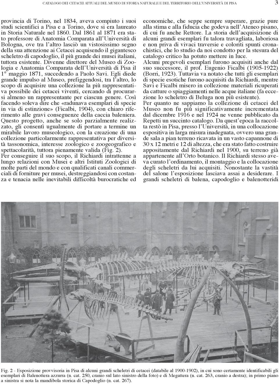 Dal 1861 al 1871 era stato professore di Anatomia Comparata all Università di Bologna, ove tra l altro lasciò un vistosissimo segno della sua attenzione ai Cetacei acquisendo il gigantesco scheletro