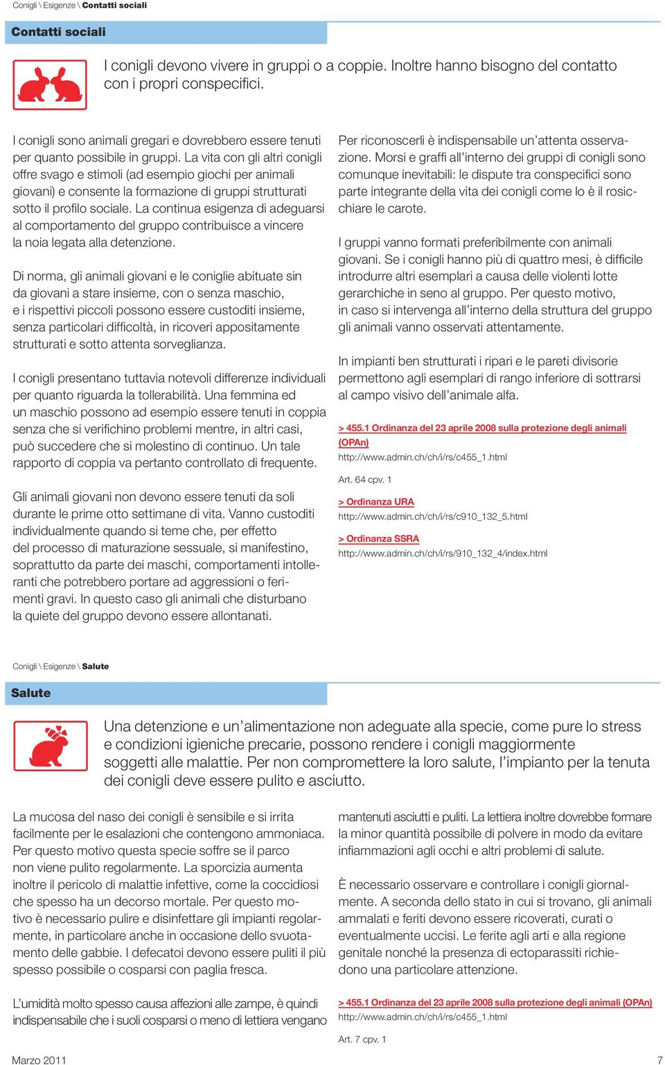 La vita con gli altri conigli offre svago e stimoli (ad esempio giochi per animali giovani) e consente la formazione di gruppi strutturati sotto il profilo sociale.