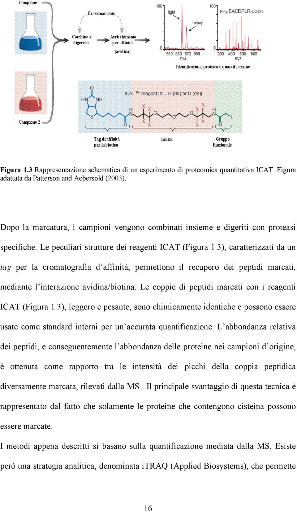 3), caratterizzati da un tag per la cromatografia d affinità, permettono il recupero dei peptidi marcati, mediante l interazione avidina/biotina.