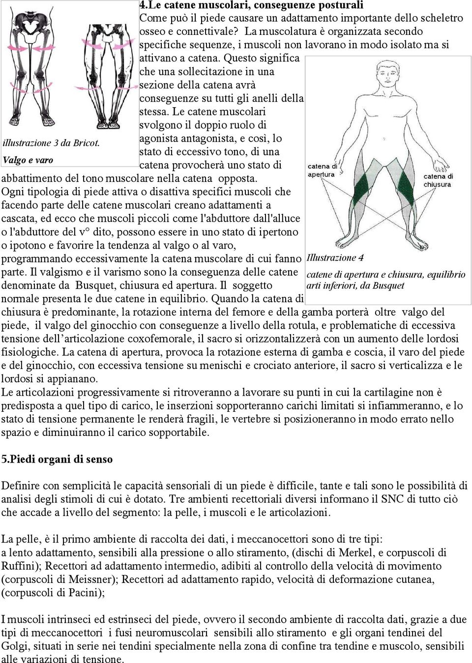 Questo significa che una sollecitazione in una sezione della catena avrà conseguenze su tutti gli anelli della stessa.