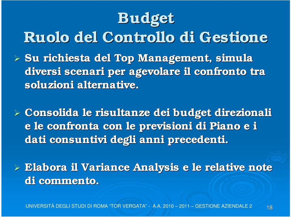 Consolida le risultanze dei budget direzionali e le confronta con le previsioni di
