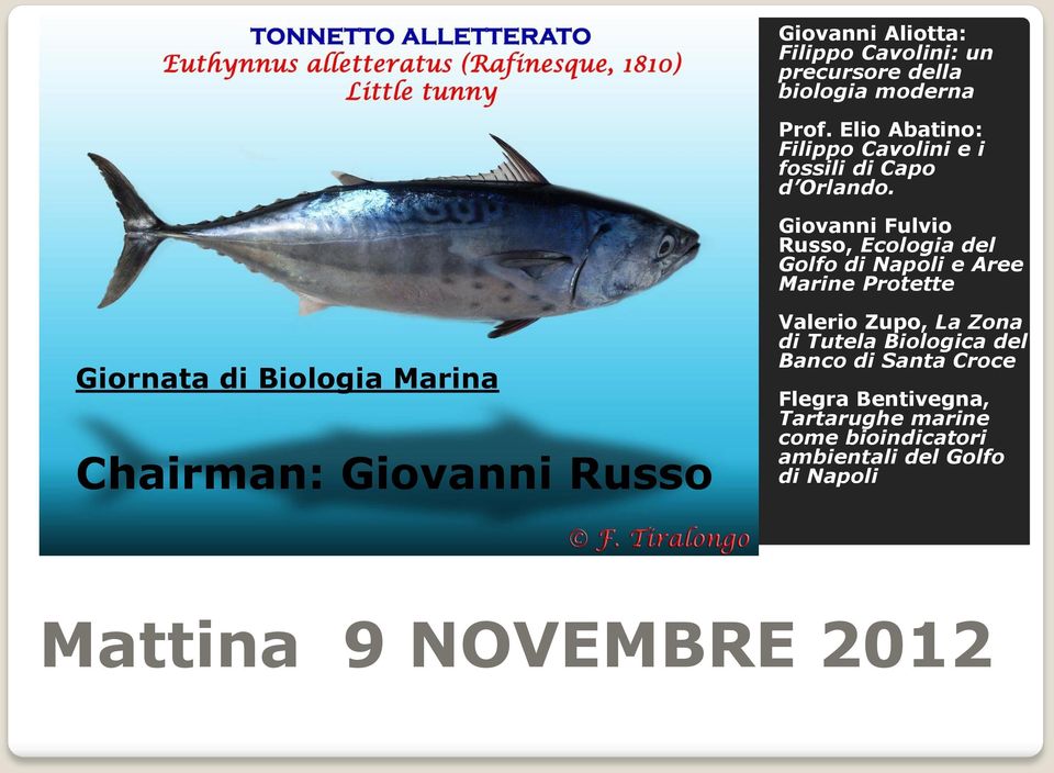 Giovanni Fulvio Russo, Ecologia del Golfo di Napoli e Aree Marine Protette Giornata di Biologia Marina