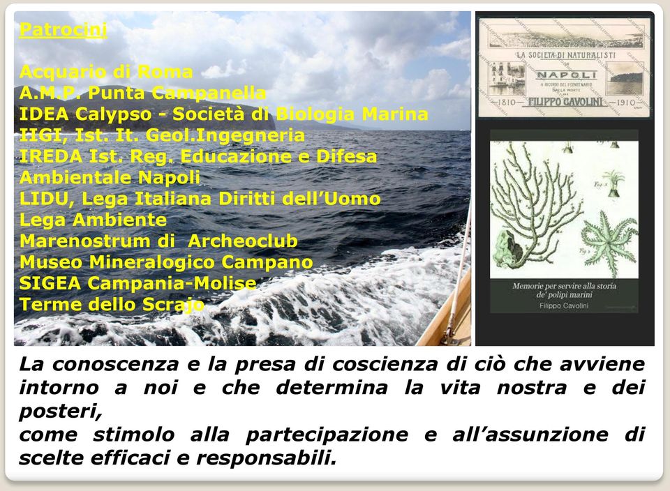 Educazione e Difesa Ambientale Napoli LIDU, Lega Italiana Diritti dell Uomo Lega Ambiente Marenostrum di Archeoclub Museo Mineralogico Campano