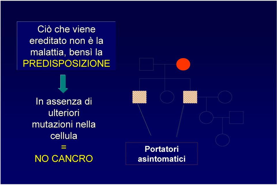 assenza di ulteriori mutazioni nella