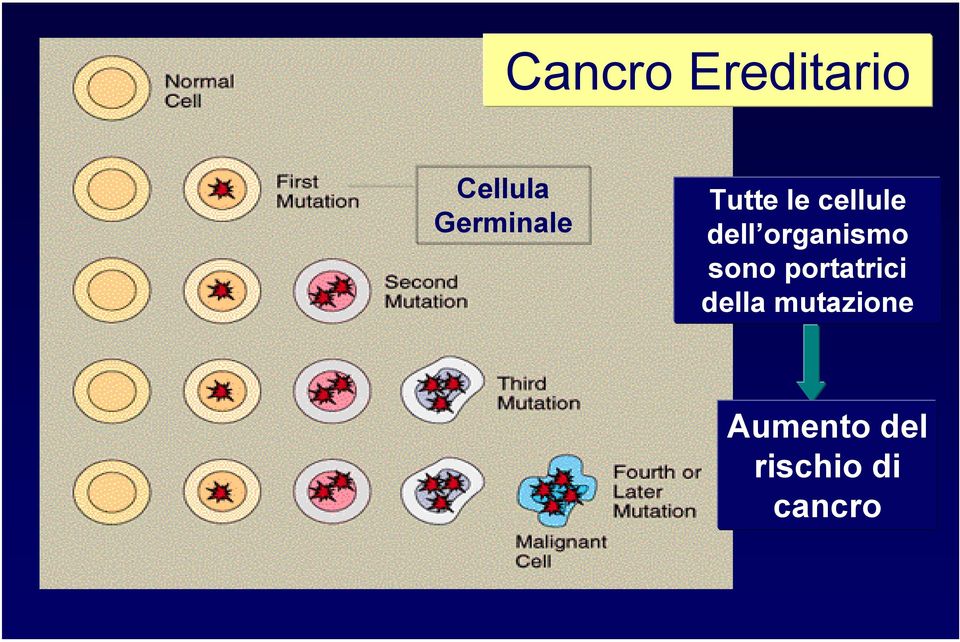 organismo sono portatrici della