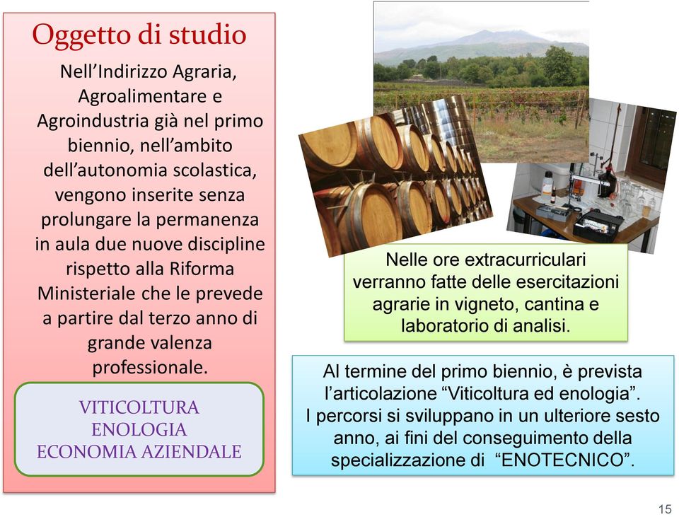 VITICOLTURA ENOLOGIA ECONOMIA AZIENDALE Nelle ore extracurriculari verranno fatte delle esercitazioni agrarie in vigneto, cantina e laboratorio di analisi.