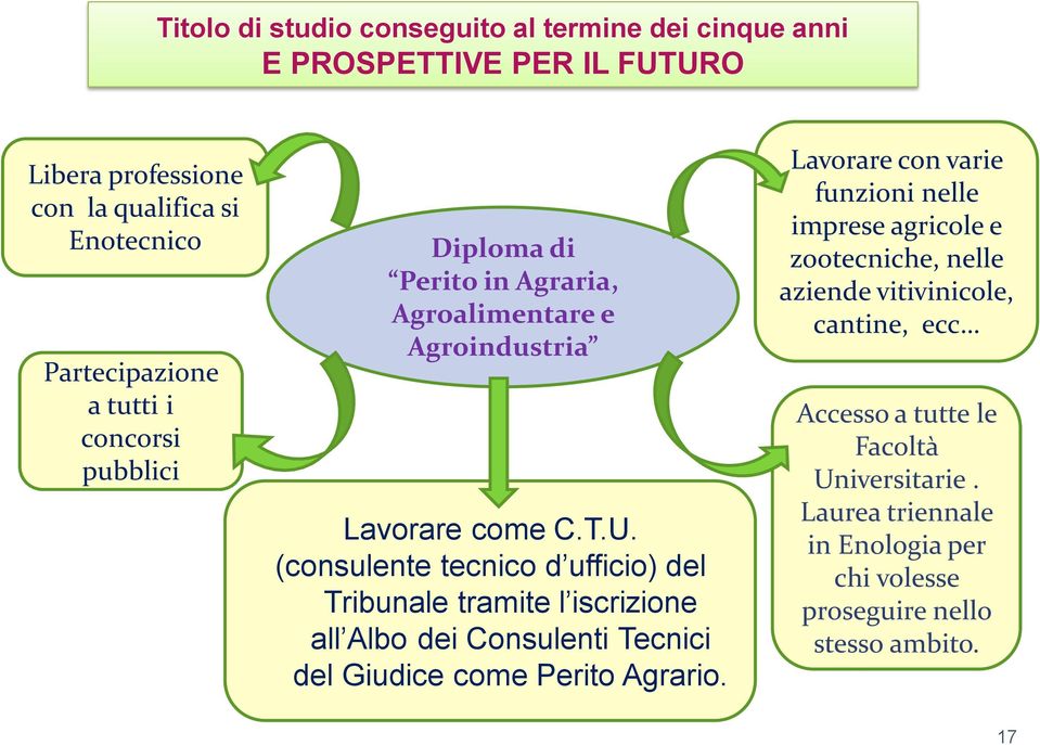 (consulente tecnico d ufficio) del Tribunale tramite l iscrizione all Albo dei Consulenti Tecnici del Giudice come Perito Agrario.