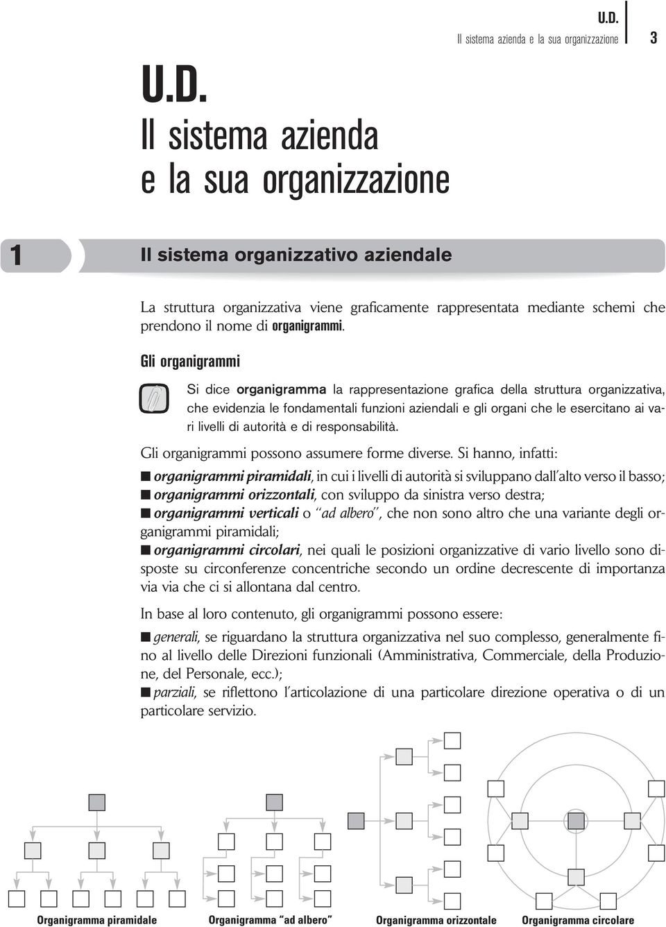 autorità e di responsabilità. Gli organigrammi possono assumere forme diverse.