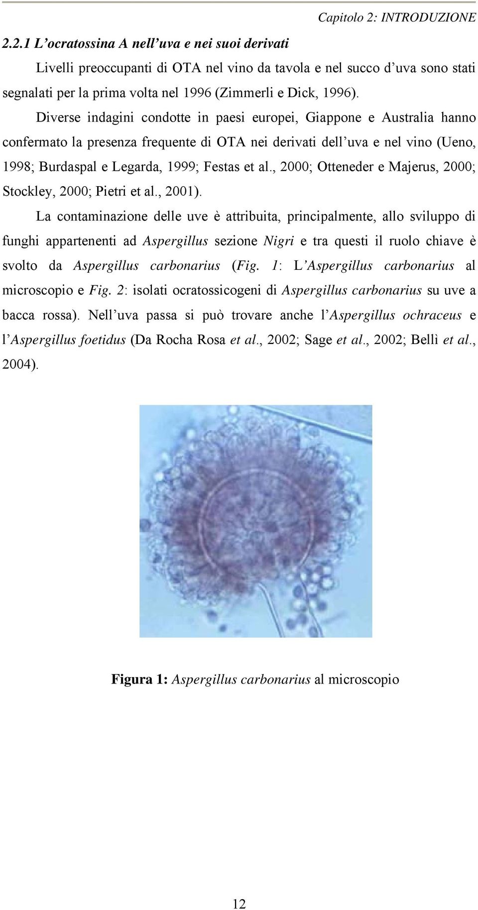 , 2; Otteneder e Majerus, 2; Stockley, 2; Pietri et al., 21).