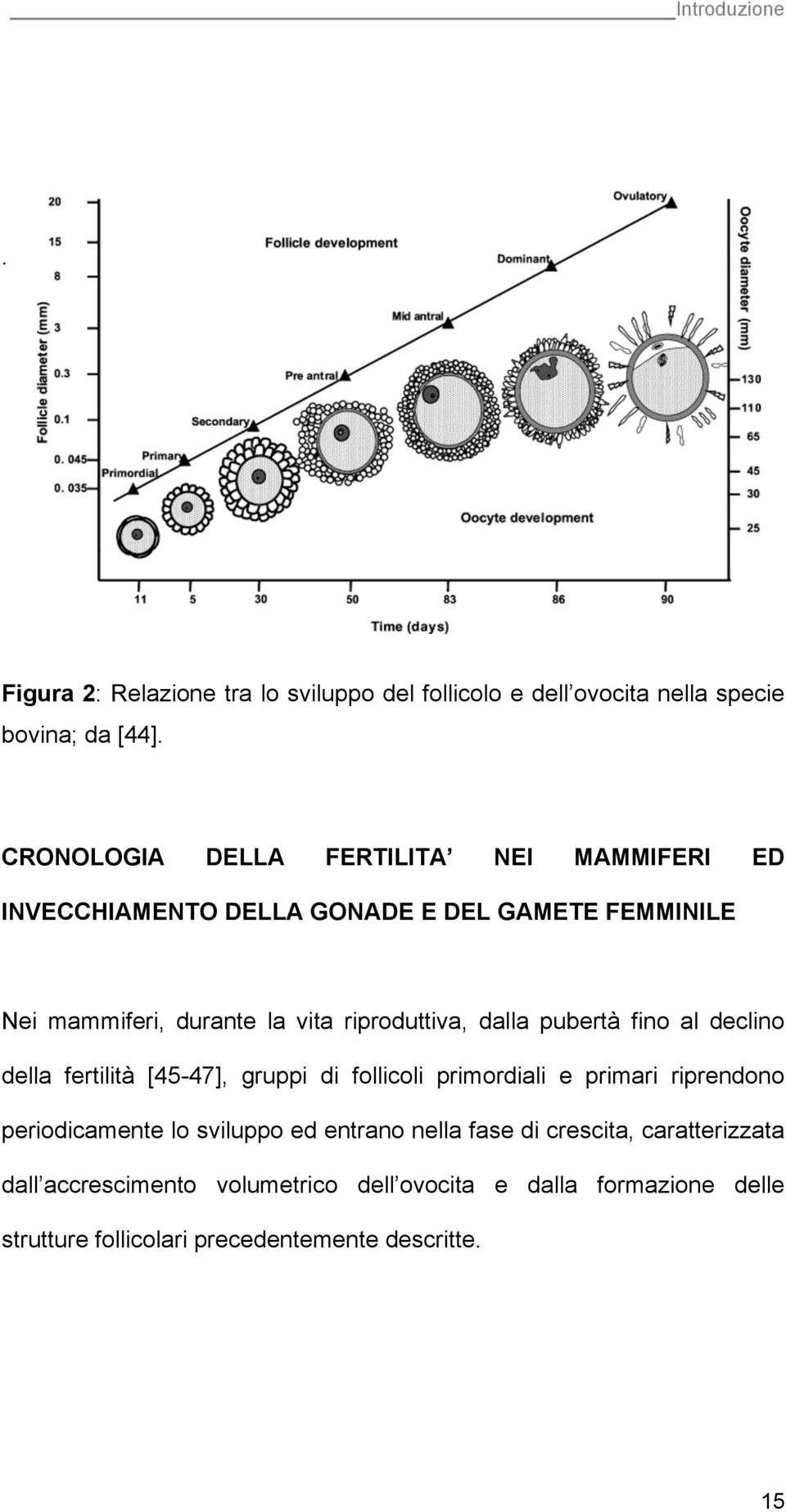 riproduttiva, dalla pubertà fino al declino della fertilità [45-47], gruppi di follicoli primordiali e primari riprendono periodicamente