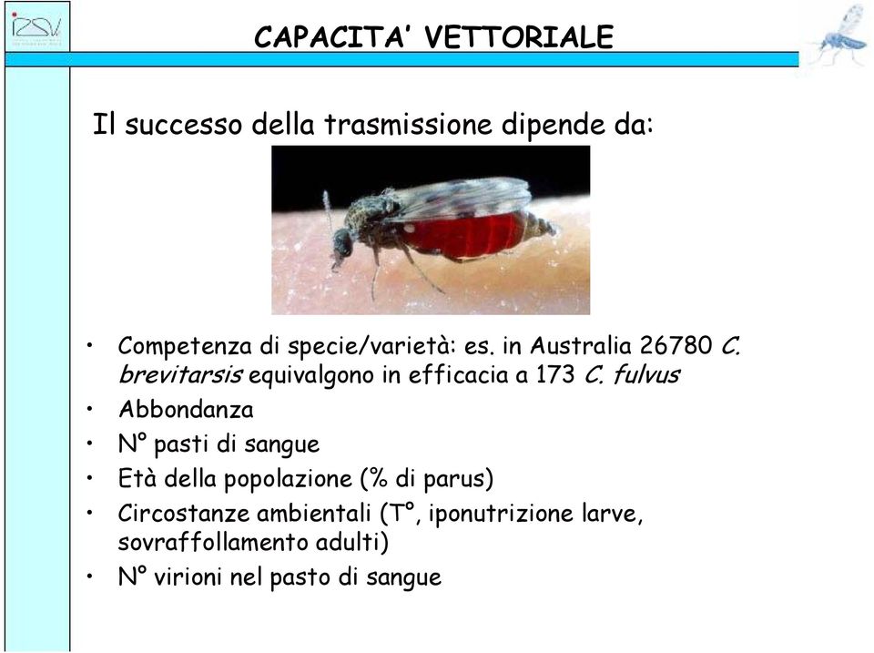 brevitarsis equivalgono in efficacia a 173 C.