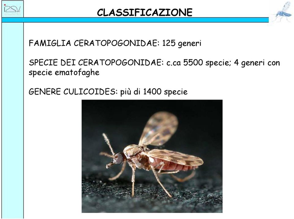 ca 5500 specie; 4 generi con specie