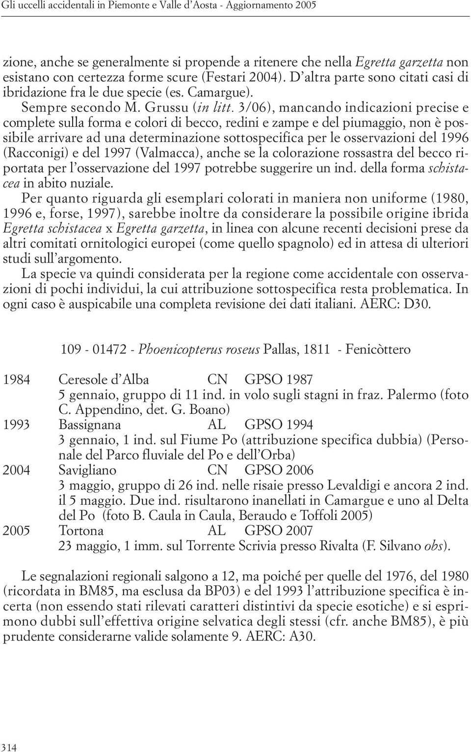 3/06), mancando indicazioni precise e complete sulla forma e colori di becco, redini e zampe e del piumaggio, non è possibile arrivare ad una determinazione sottospecifica per le osservazioni del