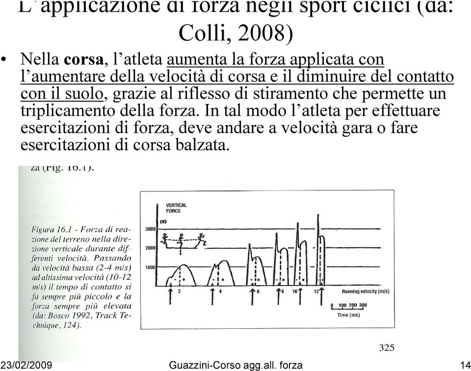 al riflesso di stiramento che permette un triplicamento della forza.