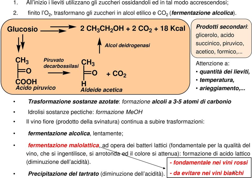 acetico, formico,... Attenzione a: quantità dei lieviti, temperatura, arieggiamento,.