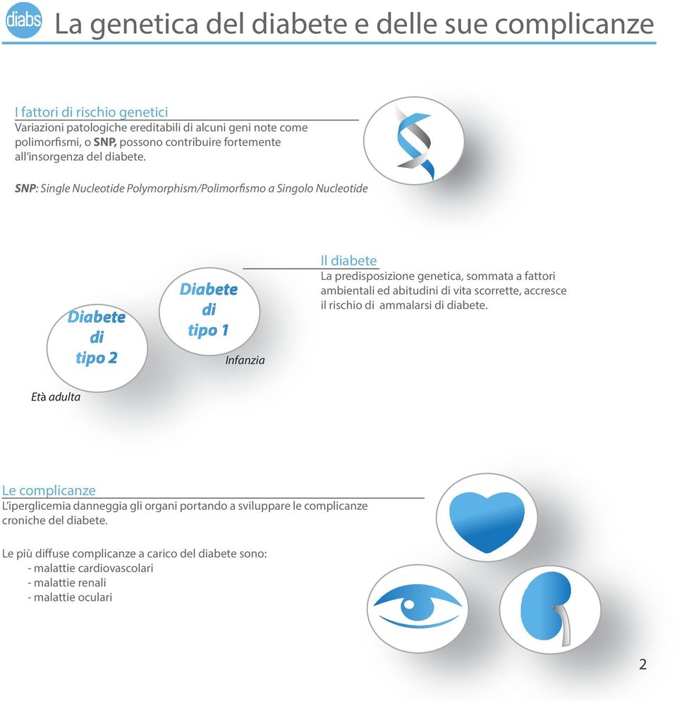 SNP: Single Nucleotide Polymorphism/Polimorfismo a Singolo Nucleotide Diabete di tipo 2 Diabete di tipo 1 Infanzia Il diabete La predisposizione genetica, sommata a fattori