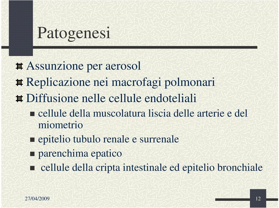 delle arterie e del miometrio epitelio tubulo renale e surrenale