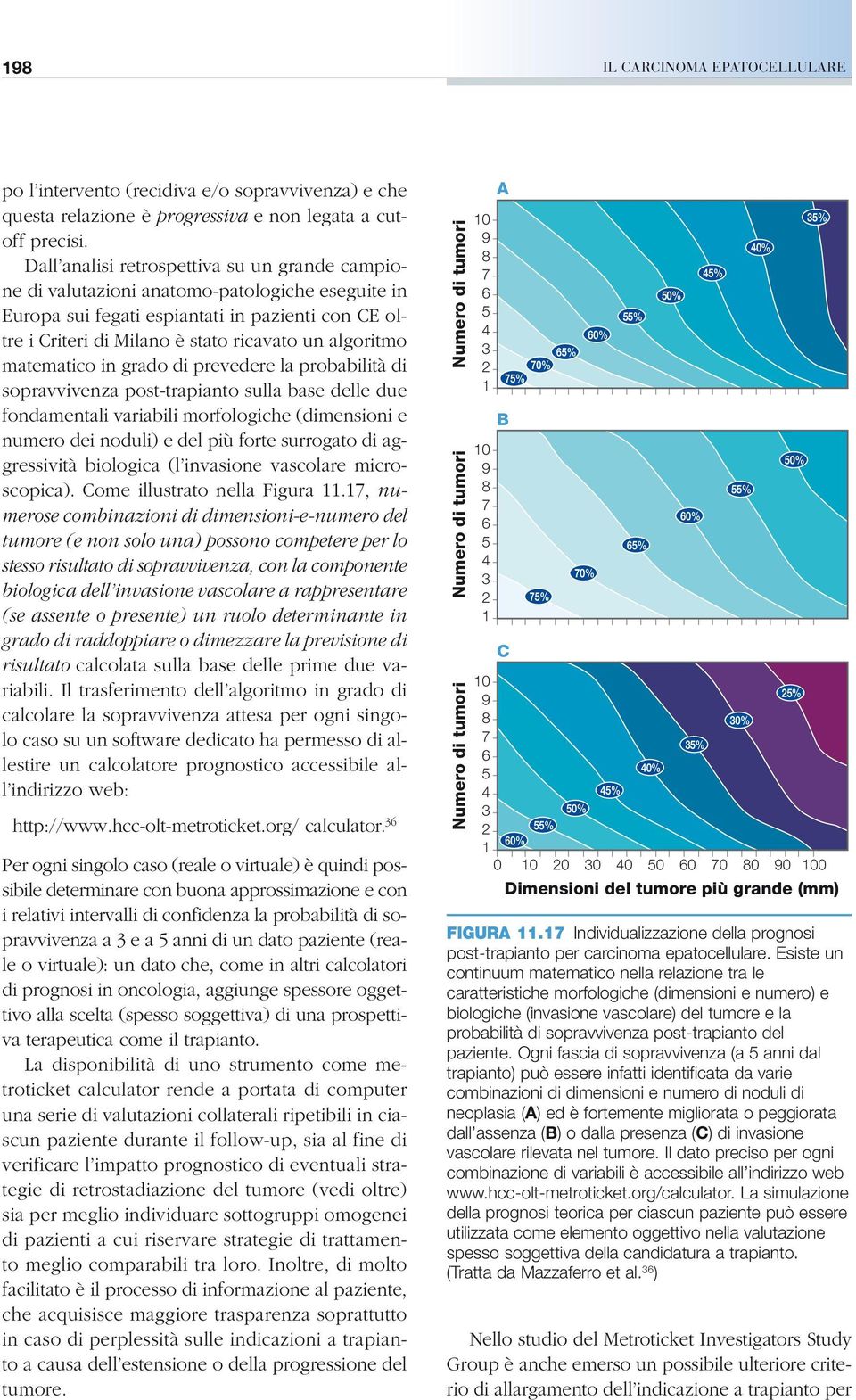 matematico in grado di prevedere la probabilità di sopravvivenza post-trapianto sulla base delle due fondamentali variabili morfologiche (dimensioni e numero dei noduli) e del più forte surrogato di