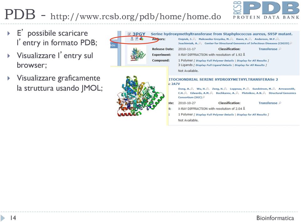 PDB; Visualizzare l entry sul browser;