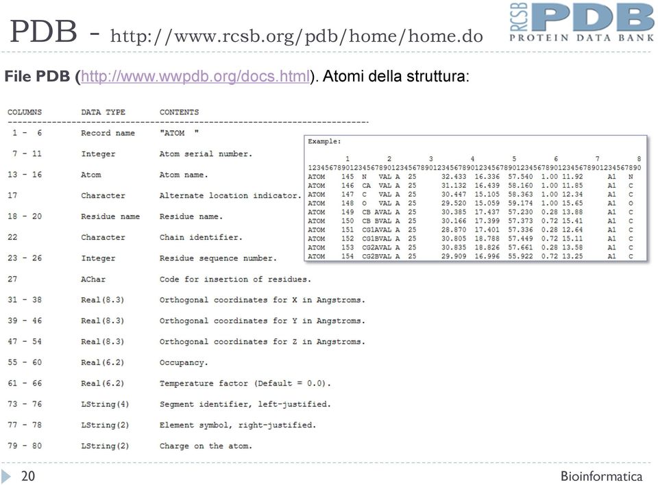 do File PDB (http://www.