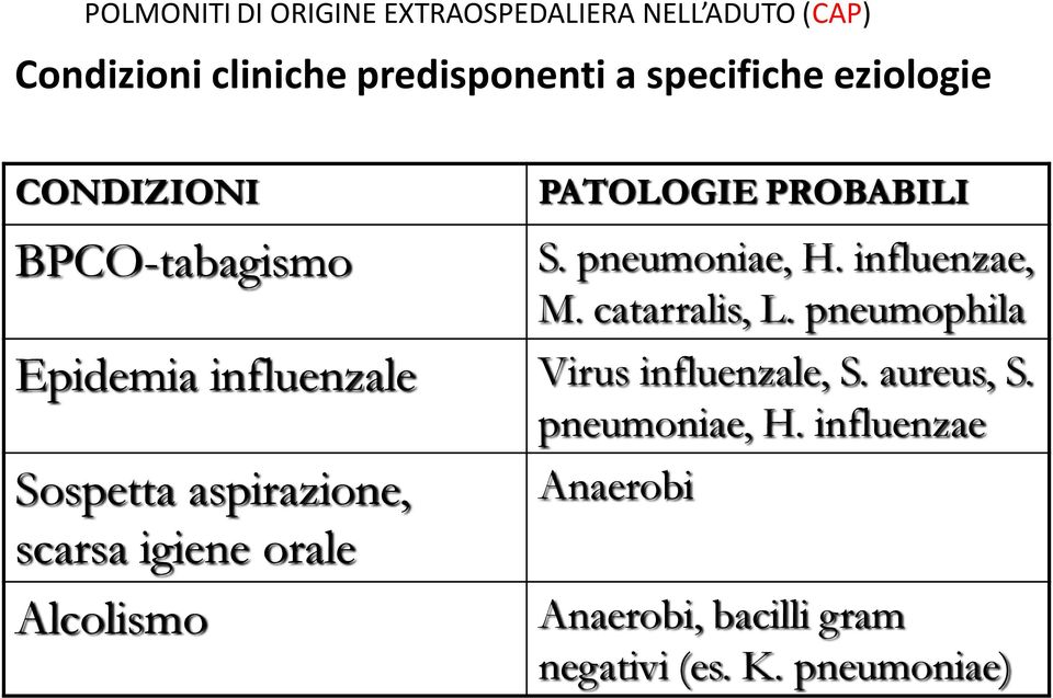 pneumophila Epidemia influenzale Virus influenzale, S. aureus, S. pneumoniae, H.