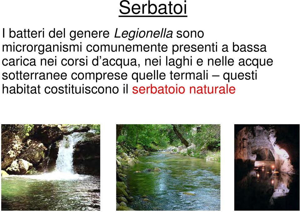 corsi d acqua, nei laghi e nelle acque sotterranee