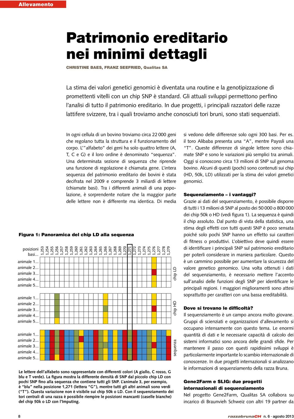 In due progetti, i principali razzatori delle razze lattifere svizzere, tra i quali troviamo anche conosciuti tori bruni, sono stati sequenziati.