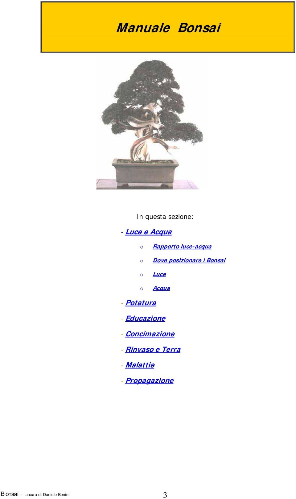 Bonsai Luce Acqua - Potatura - Educazione -