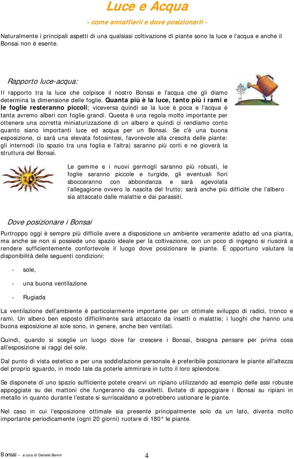 Quanta più è la luce, tanto più i rami e le foglie resteranno piccoli; viceversa quindi se la luce è poca e l'acqua è tanta avremo alberi con foglie grandi.