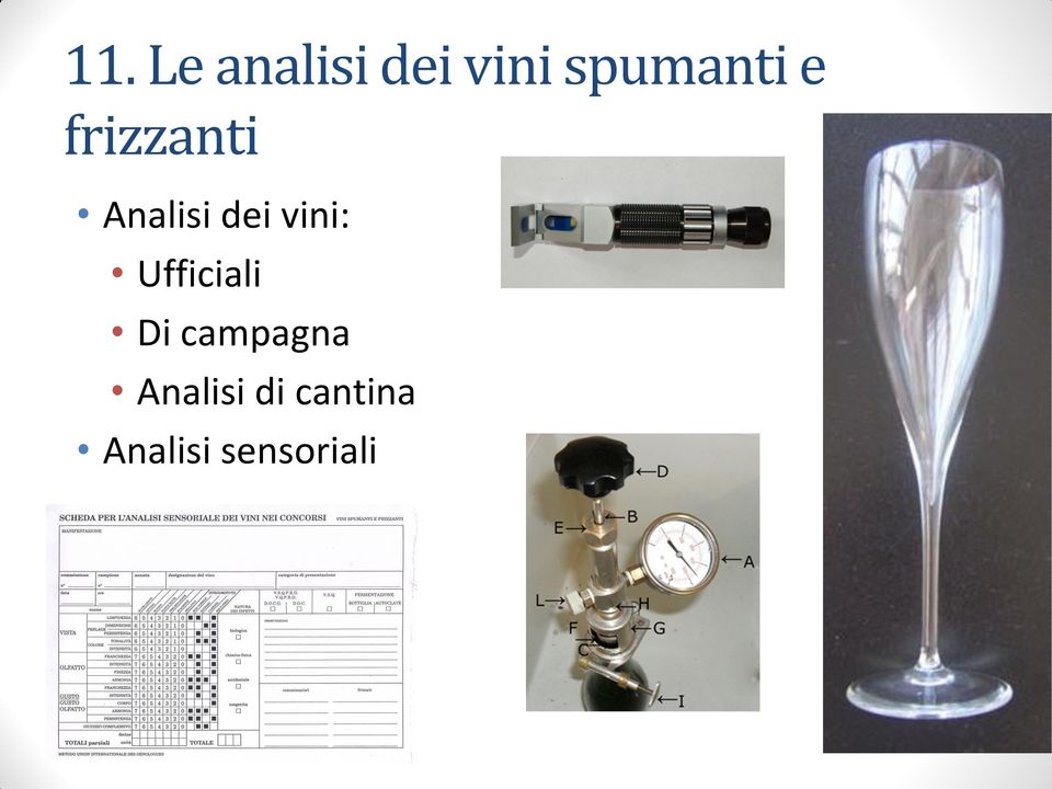 dei vini: Ufficiali Di