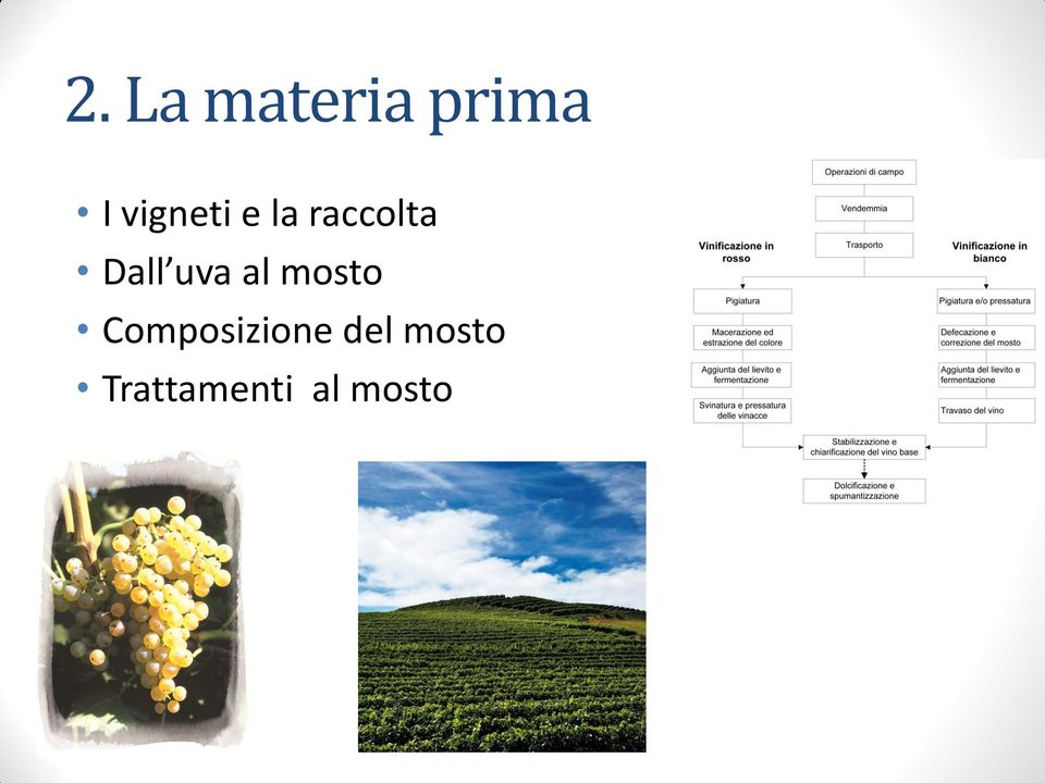 uva al mosto Composizione